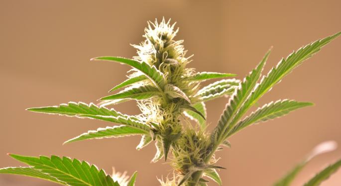 Cannabis Earnings: Chalice Brands Pre-Announces Unaudited Q2 Record Revenue Of $6.8M