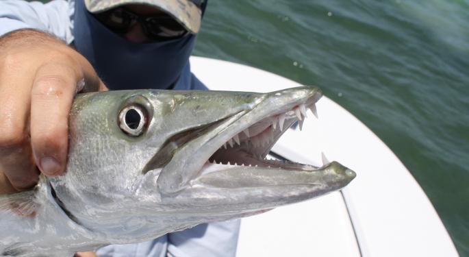 Pre-Earnings, Barracuda Still Totes Bearish Imperial Capital Thesis