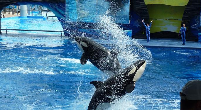 Citi Downgrades SeaWorld Entertainment Following 20% Rally