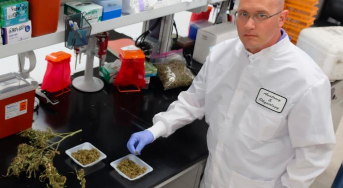Study Finds Feeding Industrial Hemp May Improve Livestock Health