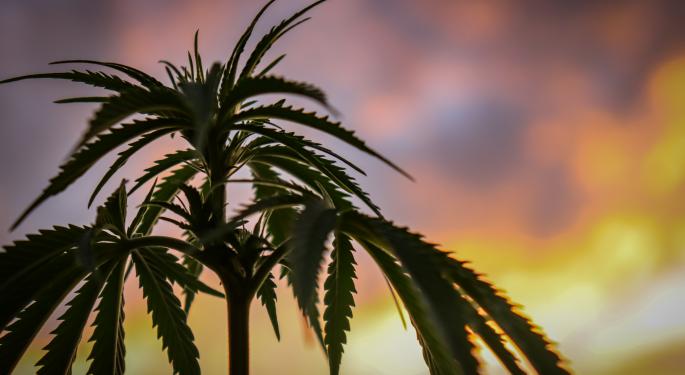 Mick Mulvaney Calls Out South Carolina GOP For Opposing Medical Cannabis Bill