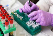 Pfizer-BioNTech, firmato accordo per fornitura vaccini col Regno Unito