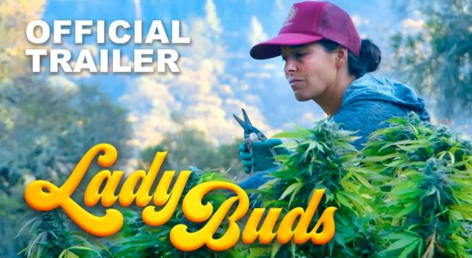 'Lady Buds' Documentary: Women's Struggles And Victories In The Cannabis Industry Generates Two Spinoffs