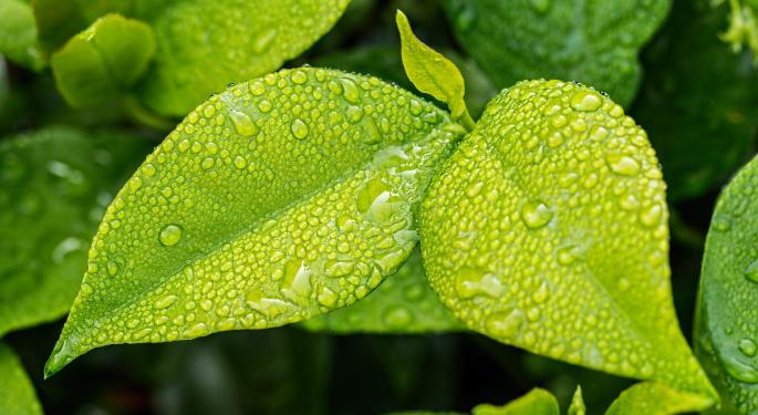 Why AgriFORCE Growing Systems Shares Are Soaring