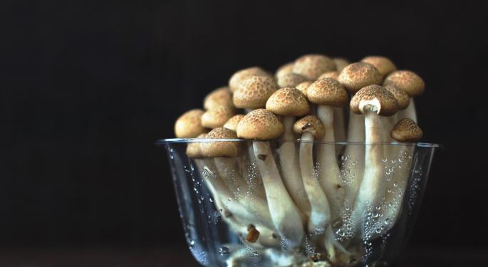 Havn Life Buys Subscription-Based Functional Mushroom Co. With Significant US Consumer Base