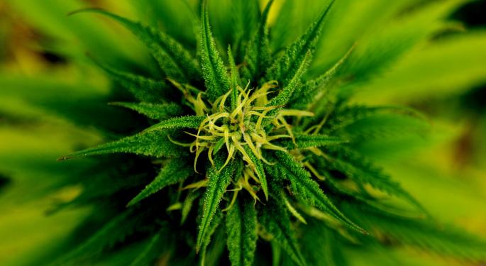 5 Books To Read Before Investing In Cannabis