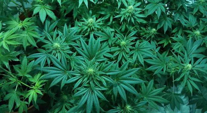 Gordon Johnson Lowers Tilray Price Target To Zero, Says Cannabis Company's Guidance 'Aspirational'