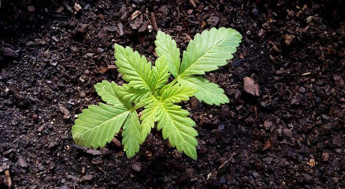 Cannabis Industry Deals Show Aggregation And Development Of Non-Recreational Brands: 'It's A More Synergistic Approach'
