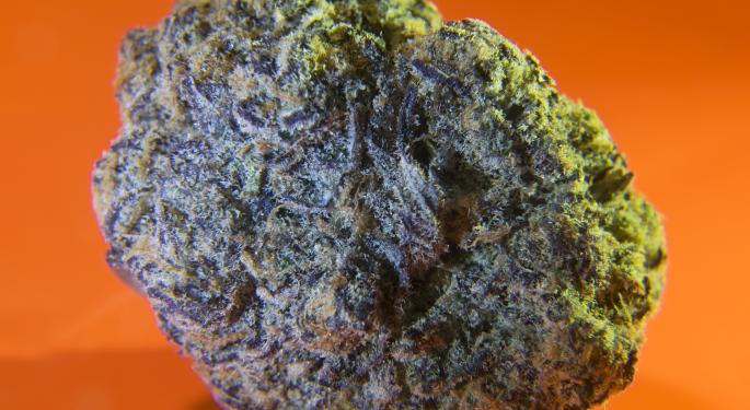 FDA Says It Will Evaluate Cannabis Scientifically