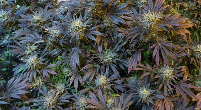 What A Federal Crackdown Could Mean For The First Public Marijuana REIT