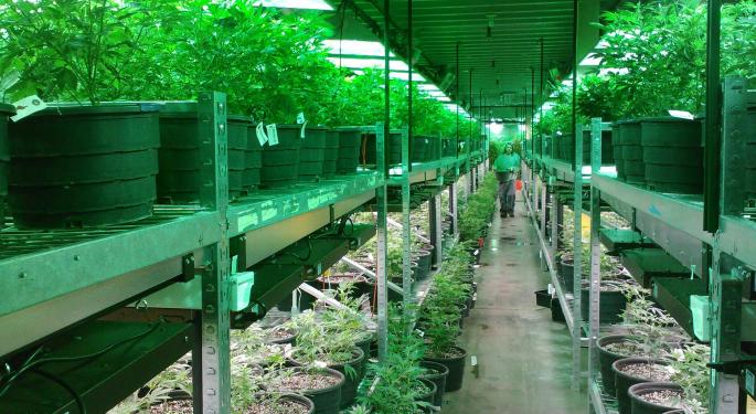 Green Organic Dutchman Announces $77M Funding Package