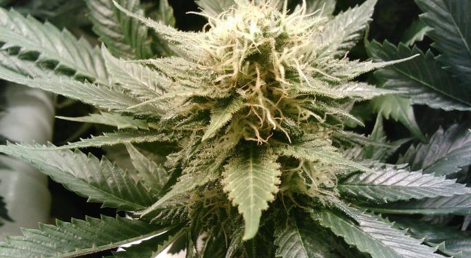 Senate Considers Giving Marijuana Businesses Access To Banks