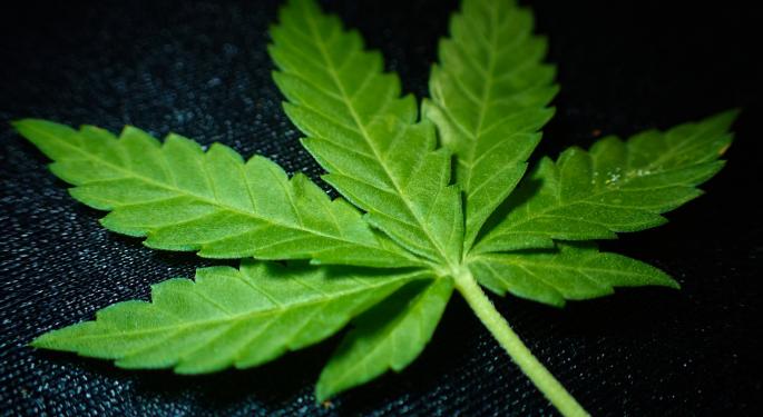 A Cannabis Job Opportunity: Cura Cannabis Announces 50 Openings