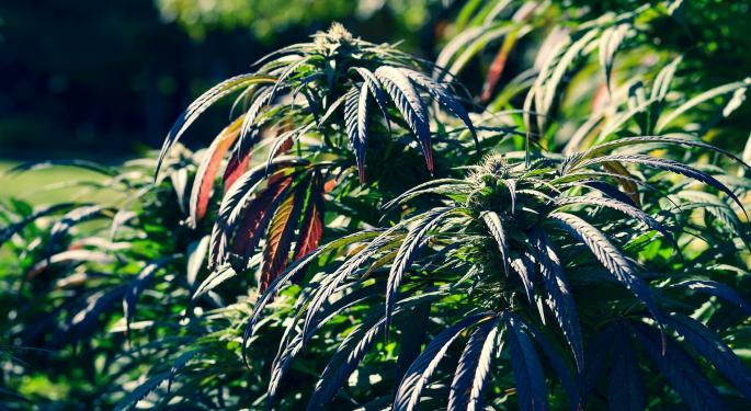 Gotham Green Partners Invests $20 Million In iAnthus As Part Of Larger Financing Plan