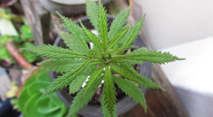 Cronos Group Execs Discuss The Challenges Of Exporting Cannabis As An Insurance-Reimbursed Product
