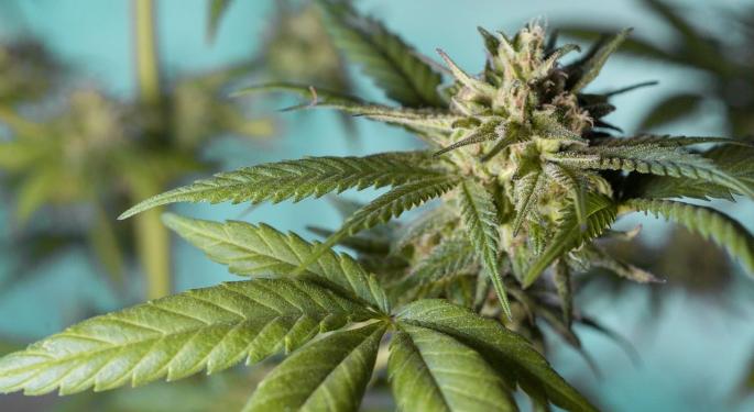 EXCLUSIVE: Is Weedmaps The Amazon Of Cannabis?