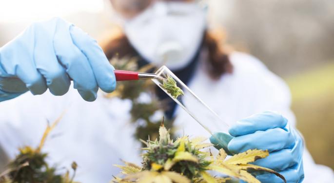 Federal Health Agency Director Says Marijuana's Legal Status Is 'Big Deterrent' To Research