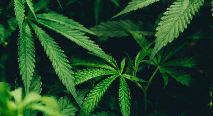 Cannabis Companies Entered 2021 With A Bang