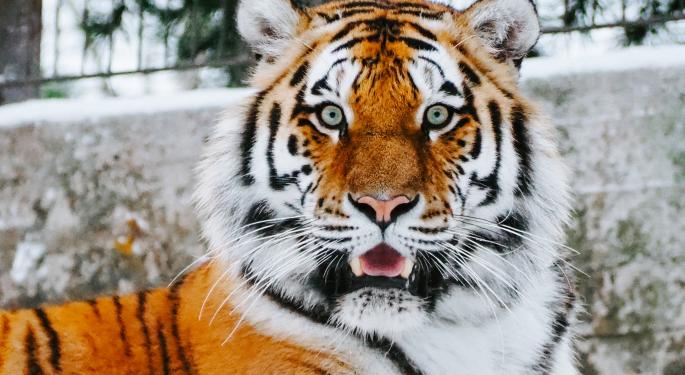 Could Joe Exotic's Resentencing Impact Tiger King Cryptocurrency Or Dogecoin?