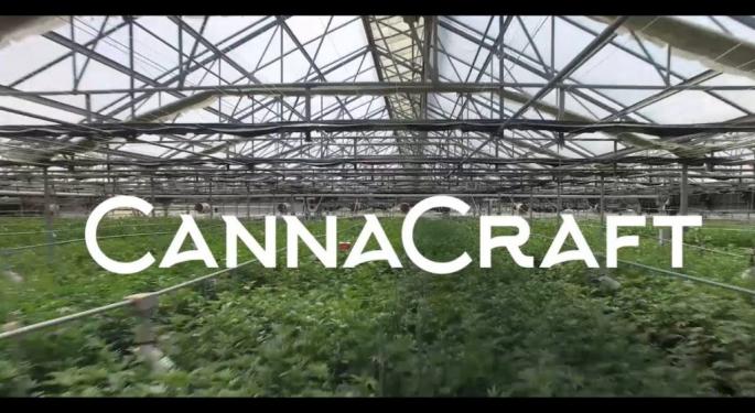 CannaCraft Adds Wine And Brand-Building Veterans To C-Suite