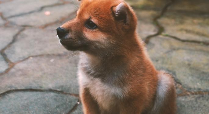 Shiba Inu And 9 Other Dogecoin Inspired Cryptocurrencies You Should Know About