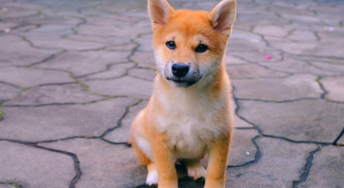 Why Are Shiba Inu And Chiliz Cryptocurrencies Surging Today?