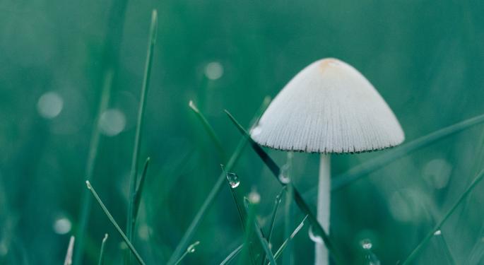 A New Way To Minimize Small-Cap Volatility