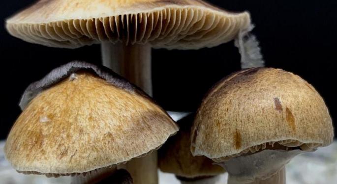 Psychedelics Company Orthogonal Thinker Closes $6M Seed Round