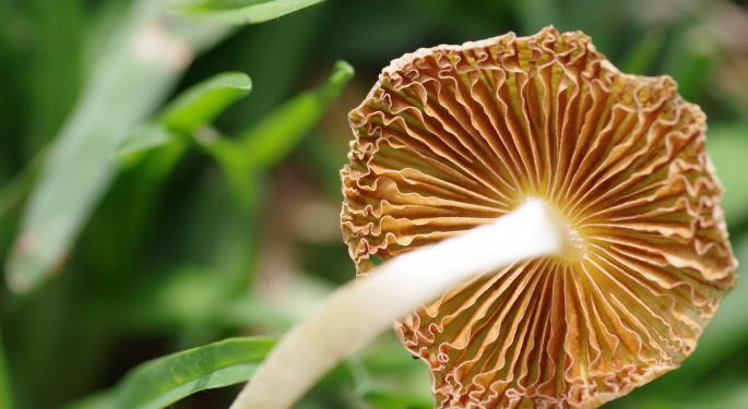 Utah Senate Says Yes To Psychedelics And Mental Health Bill, Sending It To Governor