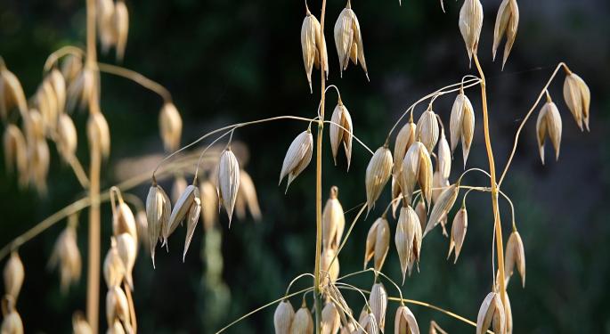 Grain Groups In Canada Want Assurances For Rail Option