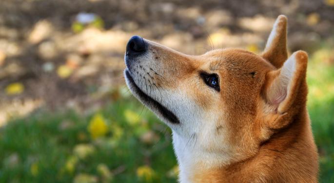 Dogecoin Headed For 40 Cents, But Not Yet: Expert Weighs In