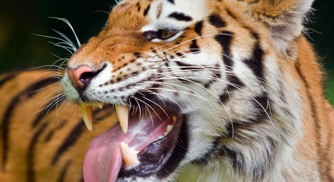 Did Dogecoin Lose Momentum Because Of Joe Exotic's Tiger King Crypto?