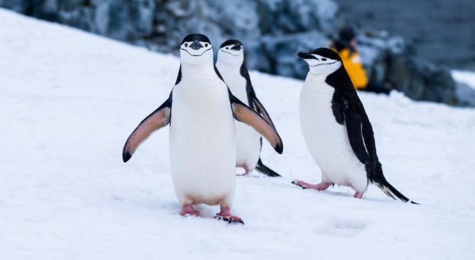 Pudgy Penguins Founders Sell Control: How New Leadership Is Boosting The Floor Price