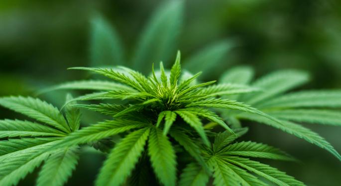 Ayurcann Launches Fuego THC Vapes In Alberta And Symbol Change On OTCQB Market