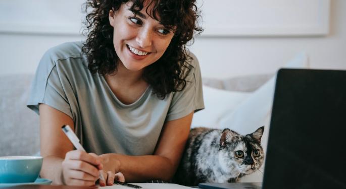 Could A Hypoallergenic Cat Be Coming Soon?