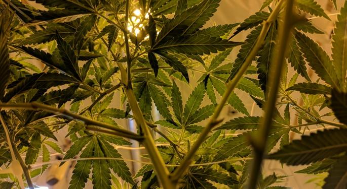 The Cannabis Extraction Market: Navigating Local Limitations And Looming Certifications