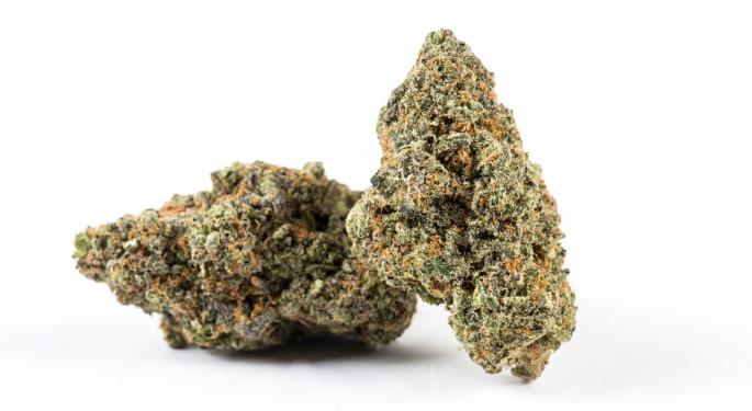 Establishing, Operating, and Leveraging A Global Platform with Canadian Cannabinoid Biopharma Co. Avicanna
