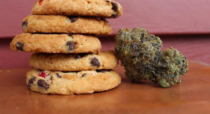 How Long Do Marijuana Edibles Stay In Your System? Asking For A Friend