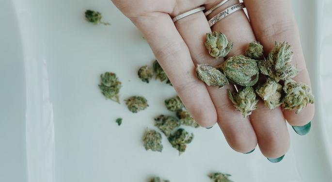 The Connection Between Cannabis And Memory: What Science Tells Us