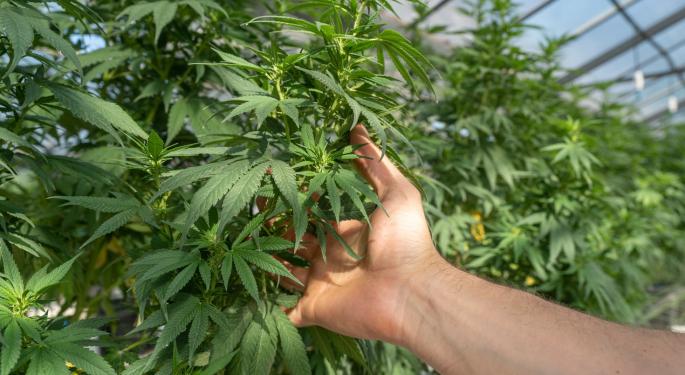 HEXO Looks to Streamline Operations After Recent Acquisitions