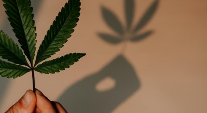 Four Lessons From The Legacy Cannabis Market To Dodge Disruptors