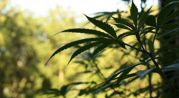 Curaleaf, Green Thumb, Trulieve & Cresco Still Cantor Fitzgerald's Top U.S. Picks, While Expecting Sales To Hit $36B By 2023
