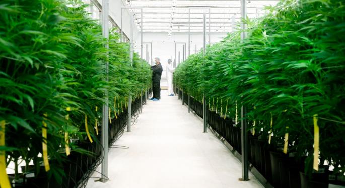 Benzinga Exclusive Interview: Europe's Cannabis Market Projected to Grow by 400% And Companies Are Already Taking a Huge Bite of This Opportunity