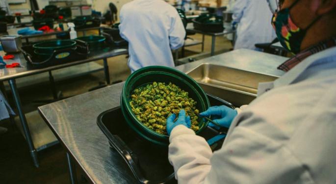 Cannabis Supply Chain: Lessons Learned In California