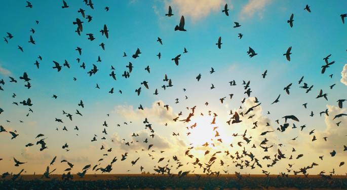 Data Show Which OTC Companies Traders Are Flocking To