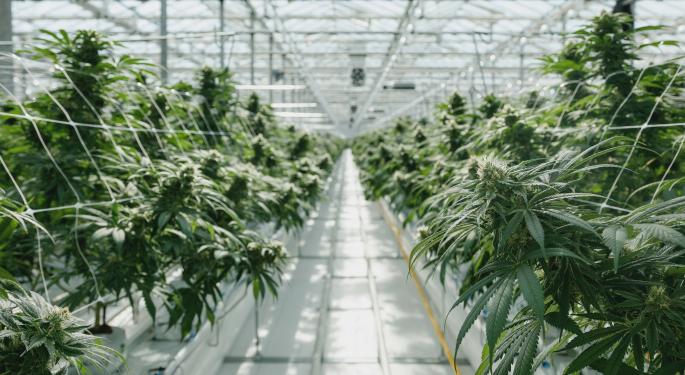 Emerald Health, Village Farms JV Starts Shipping Cannabis 2.0, Oil Products