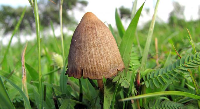 Johns Hopkins Launches Research Center To Study Whether Psychedelics Can Help With Anorexia, Depression