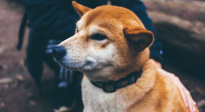 'No Idea Why Dogecoin Market Is $36B:' BofA Analyst Slams Meme Coin, Says It Has No Use Case