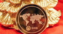 Shiba Inu lancerà un portale per il burning dei token
