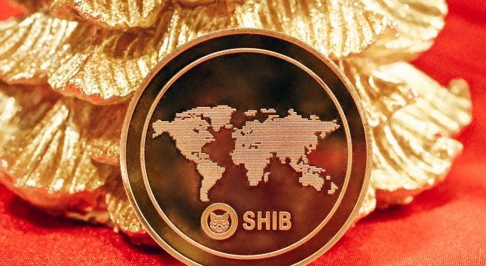 Shiba Inu lancerà un portale per il burning dei token